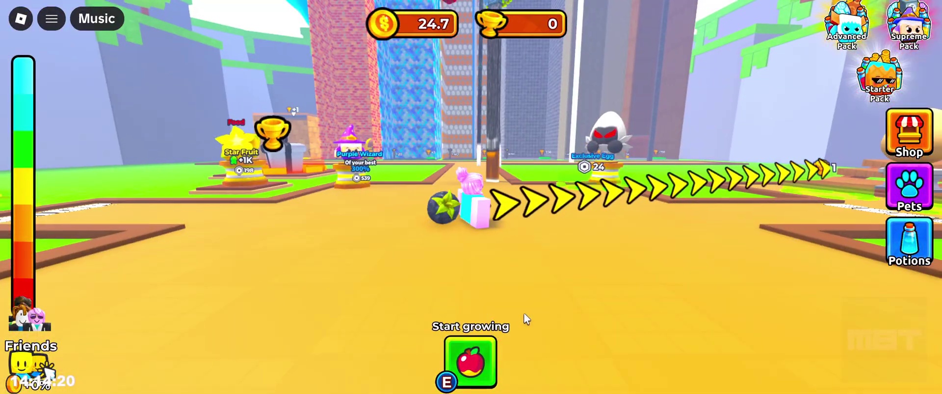 Boosting Your Potential: Premium Food and Powerful Pets