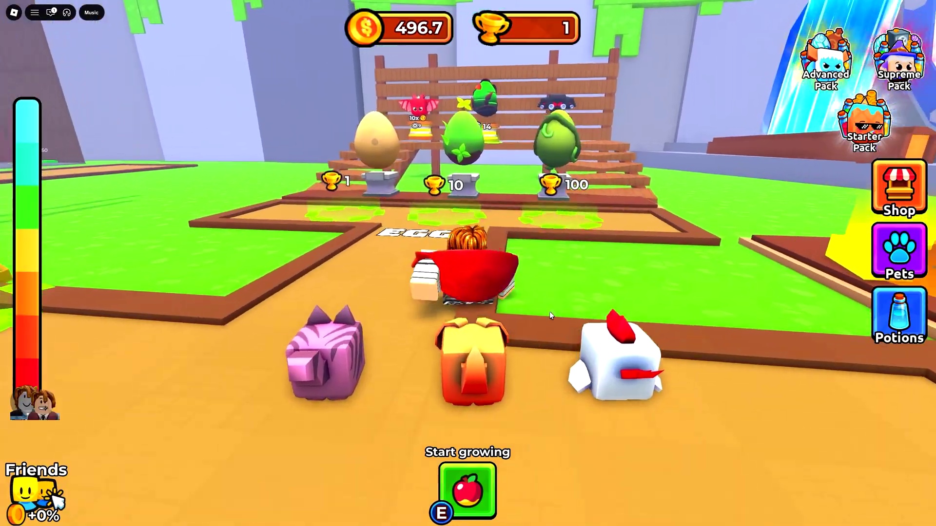 Pomegranates and Expanding the Pet Roster